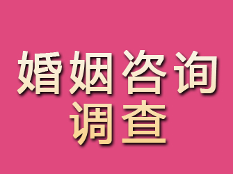 冕宁婚姻咨询调查